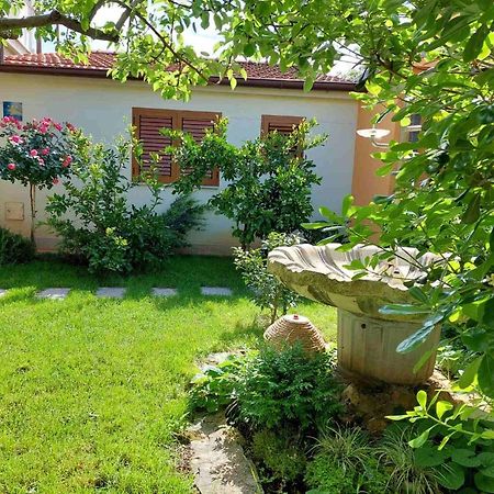 Adriatic Apartments Nada Fažana Zewnętrze zdjęcie
