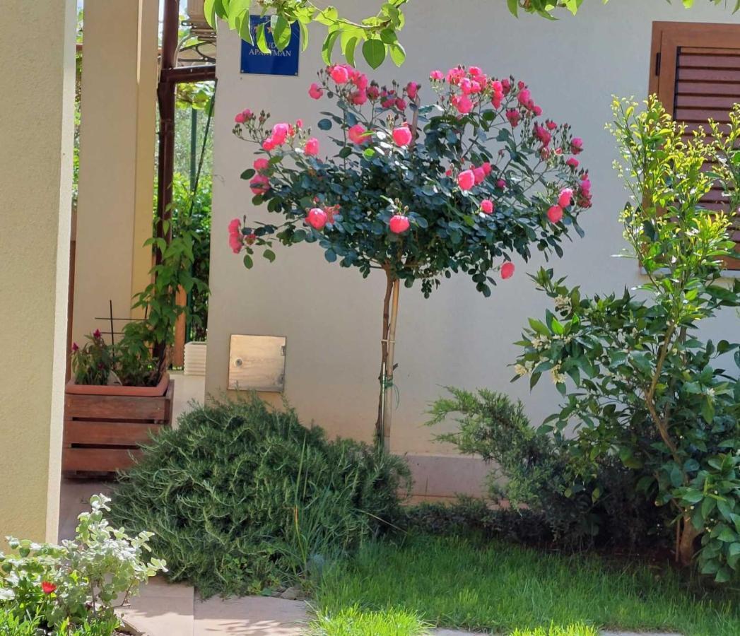 Adriatic Apartments Nada Fažana Zewnętrze zdjęcie